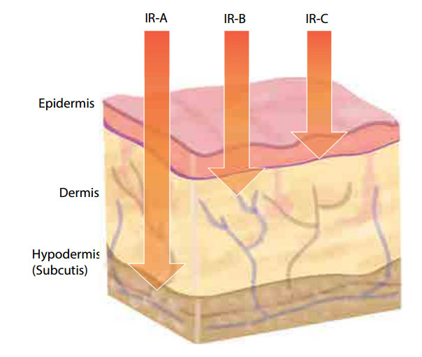 infrared skin penetration of IRA IRB IRC Oceanic infrared sauna